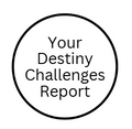 Destiny Challengers Report