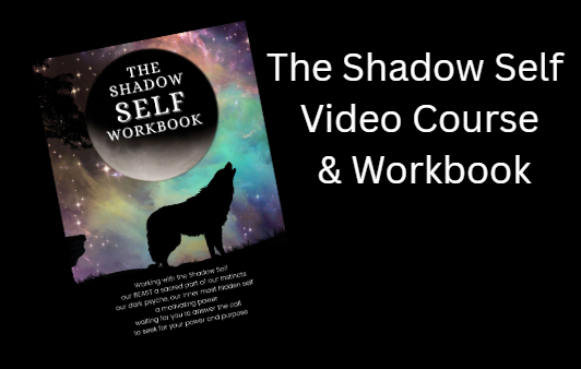 The Shadow Self, Shadow Workshop