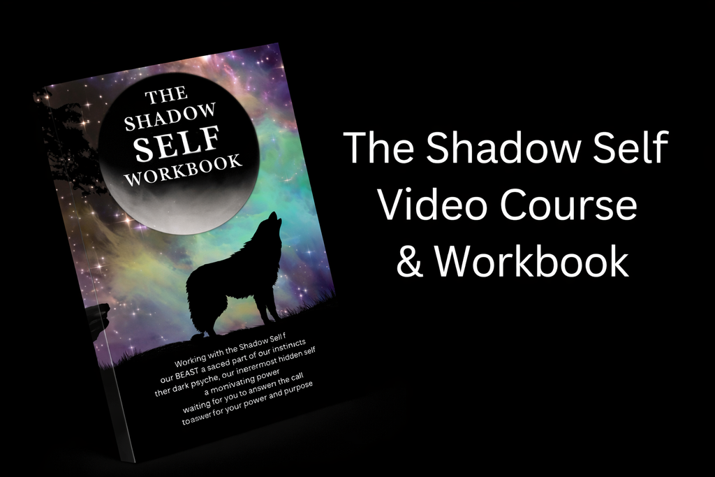 The Shadow Self, Shadow Workshop